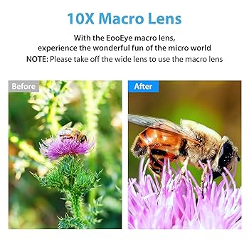 ☆ショット2530回☆極美品 SONY a5000 標準レンズ　＃317 The Best LENS 〜このボディで使いたいレンズ！〜：SONY α7 + VM
